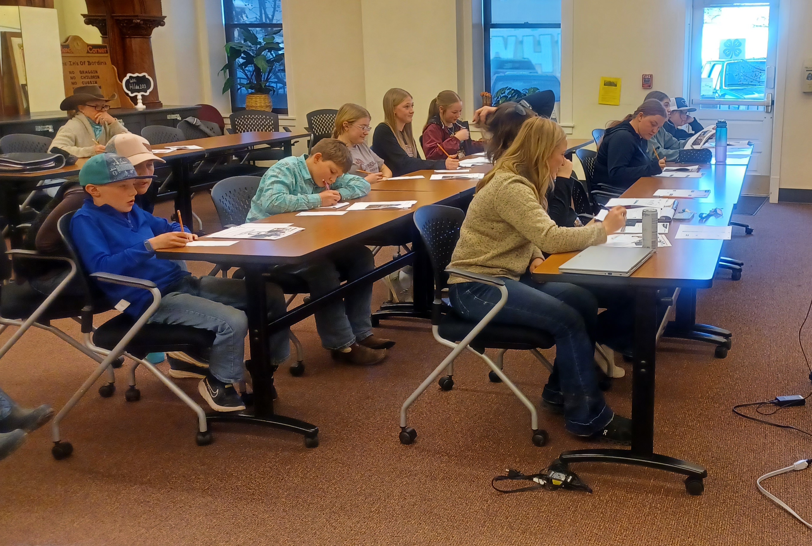 A group of students learning to evaluate a class of lambs.
